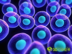 生物3D打印熱潮 Nano Dimension跨界布局生物技術新賽道